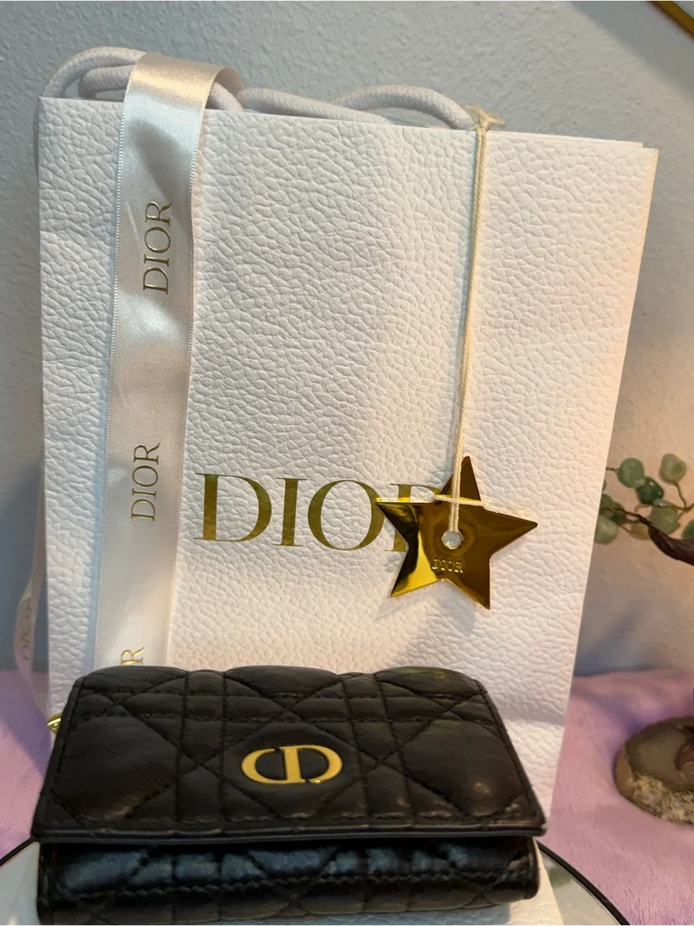 Dior authentic christian
